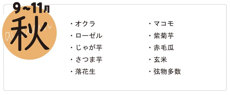 秋のお野菜