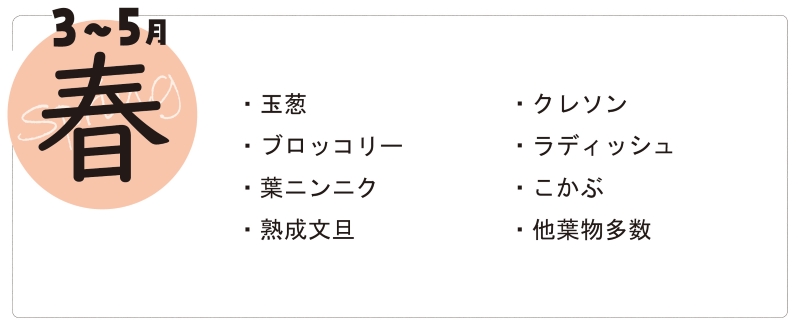 春のお野菜