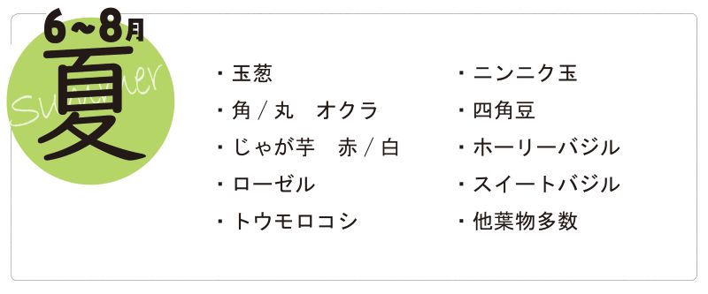 夏のお野菜